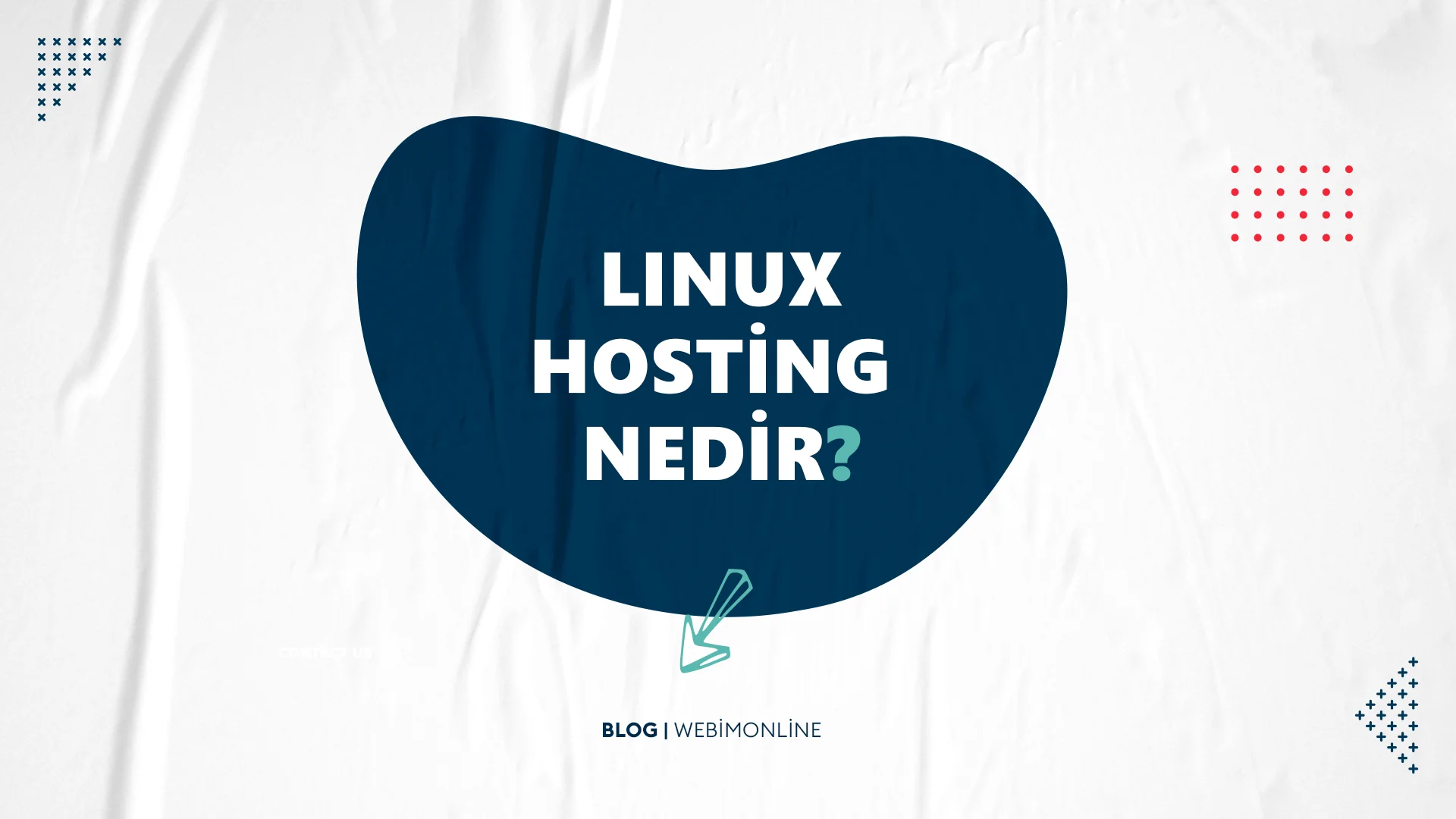 Linux Hosting Nedir?